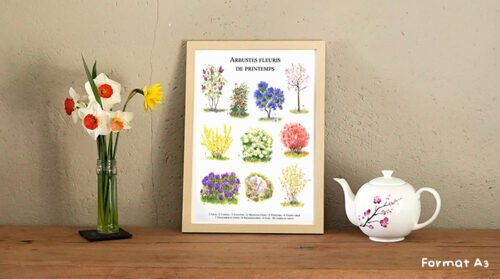 Arbustes de printemps – Image 3