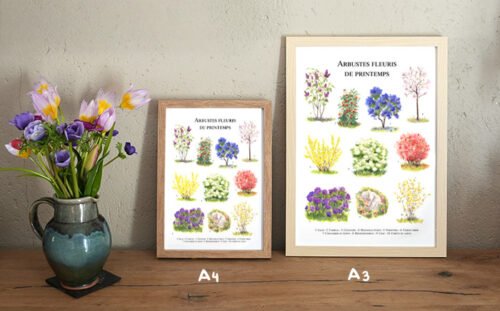 Arbustes de printemps – Image 4