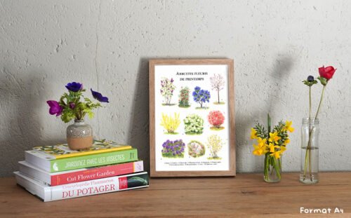 Arbustes de printemps – Image 2