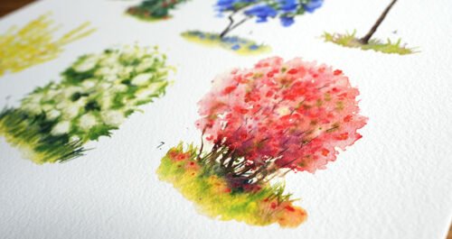 Arbustes de printemps – Image 6