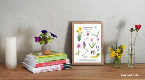 Fleurs à bulbe de printemps – Image 2