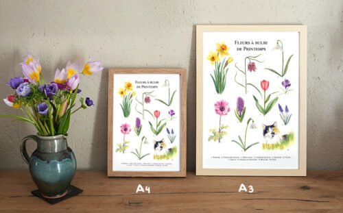 Fleurs à bulbe de printemps – Image 4