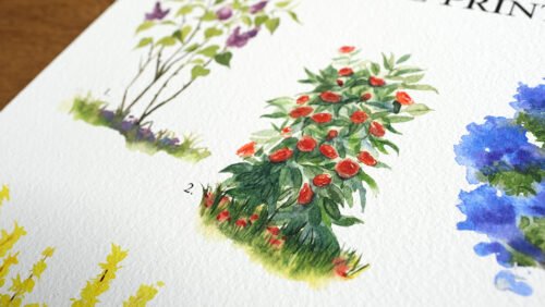 Arbustes de printemps – Image 5