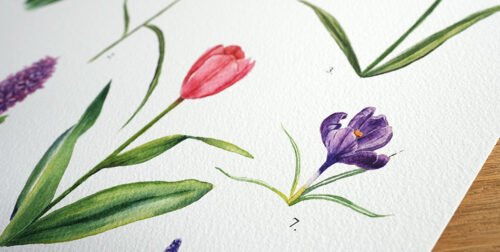 Fleurs à bulbe de printemps – Image 6