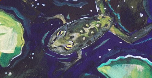 Grenouille – Image 4