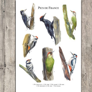 pics de france