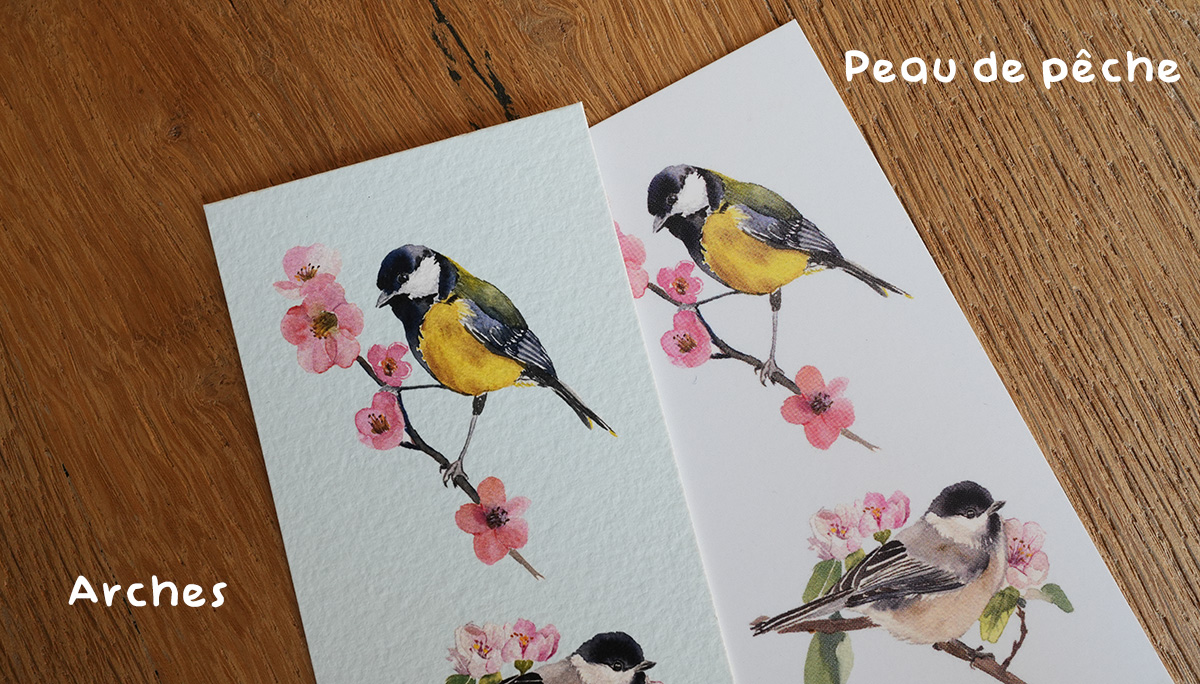 Marque-Page Trio de mésanges – Image 6