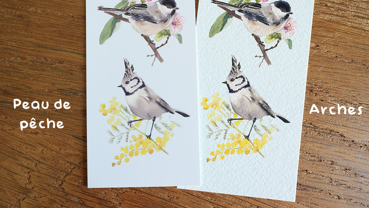 Marque-Page Trio de mésanges – Image 7