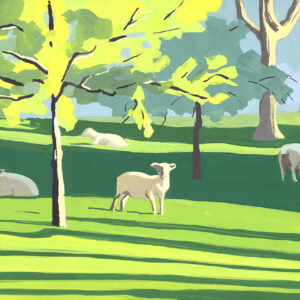 Etretat - Moutons au soleil couchant