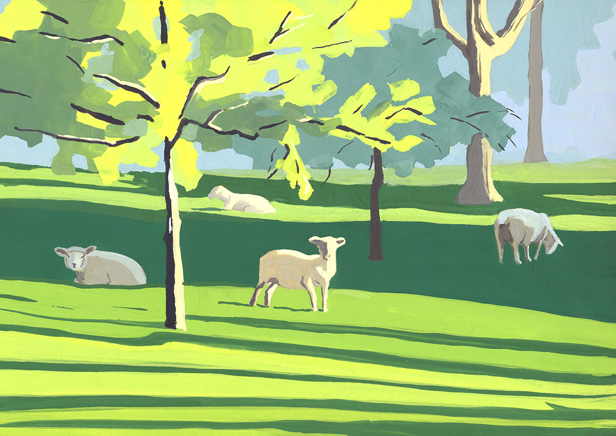 Etretat - Moutons au soleil couchant